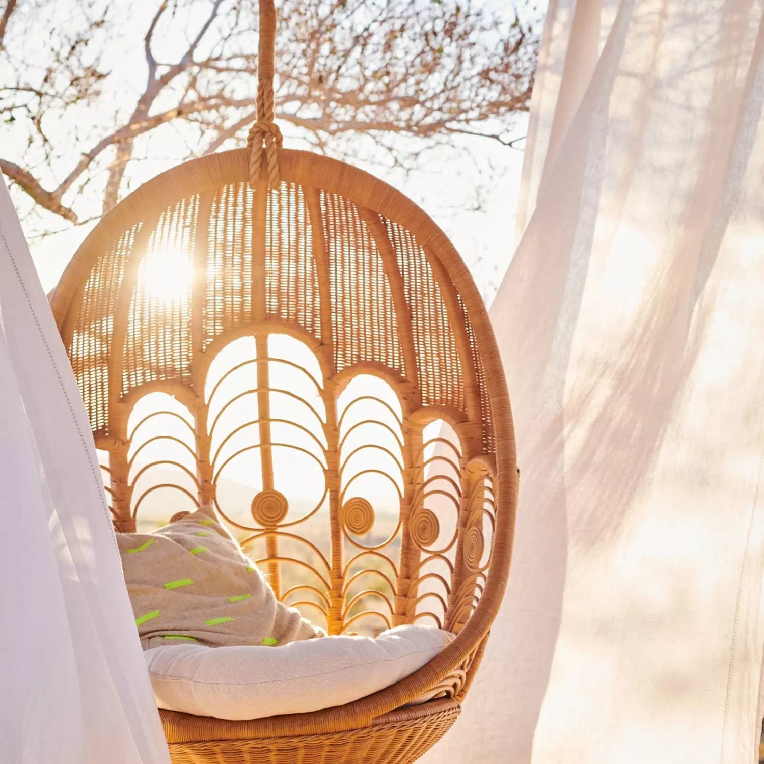 Peacock Hanging Chair