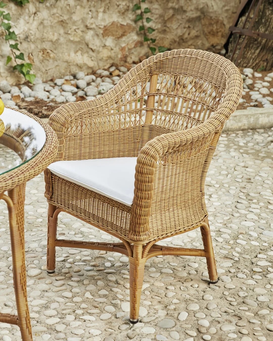 Dining Chairs
